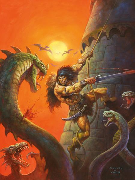 SAVAGE SWORD OF CONAN #17 CVR C ALEX HORLEY VIRGIN CARDSTOCK VAR (MR) (Pre-Order by 10/19/26 | Est. In-Store: 11/11/26 | Ships after release)