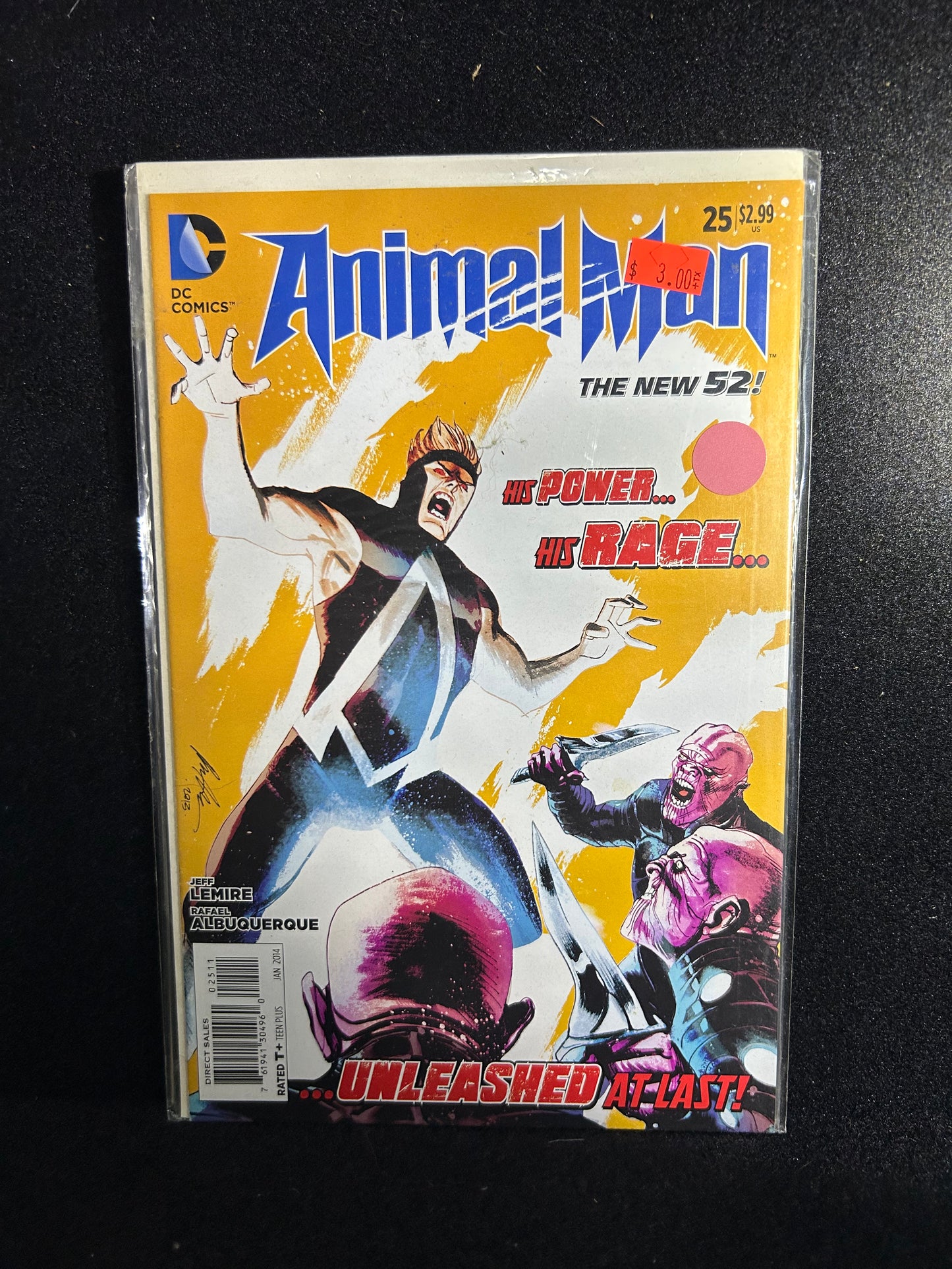 Animal Man #25 (DC New 52 2014)