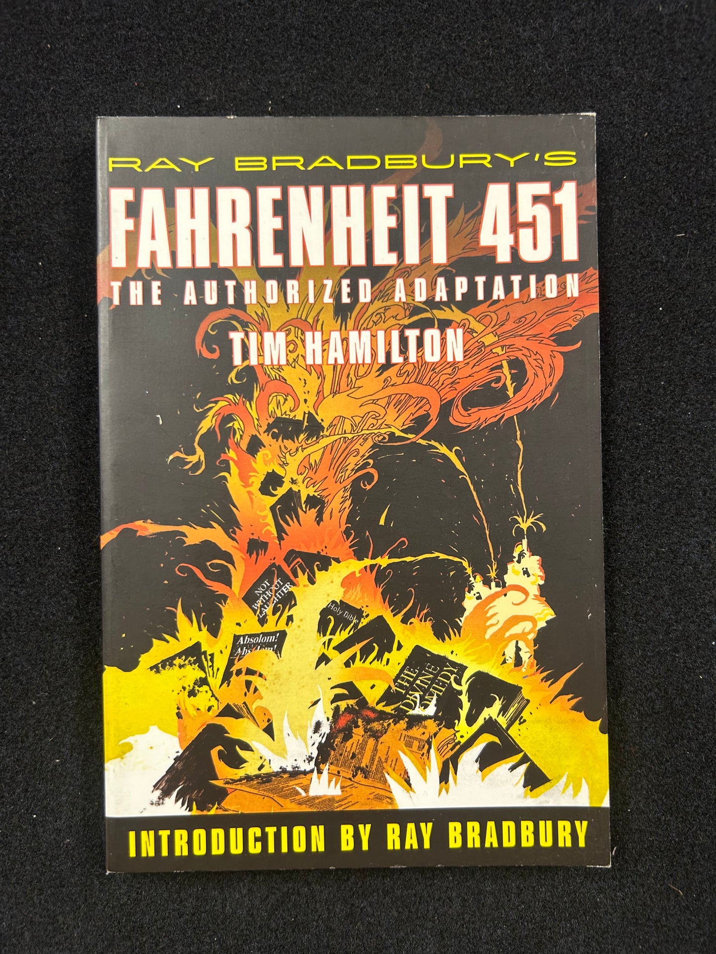 Fahrenheit 451 (Ray Bradbury's) – Graphic Novel
