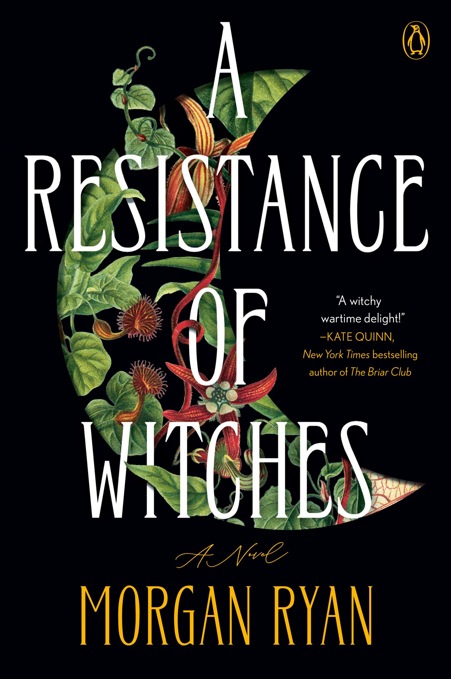 A Resistance of Witches (Pre-Order by 06/15/26 | Est. In-Store: 07/14/26 | Ships after release)