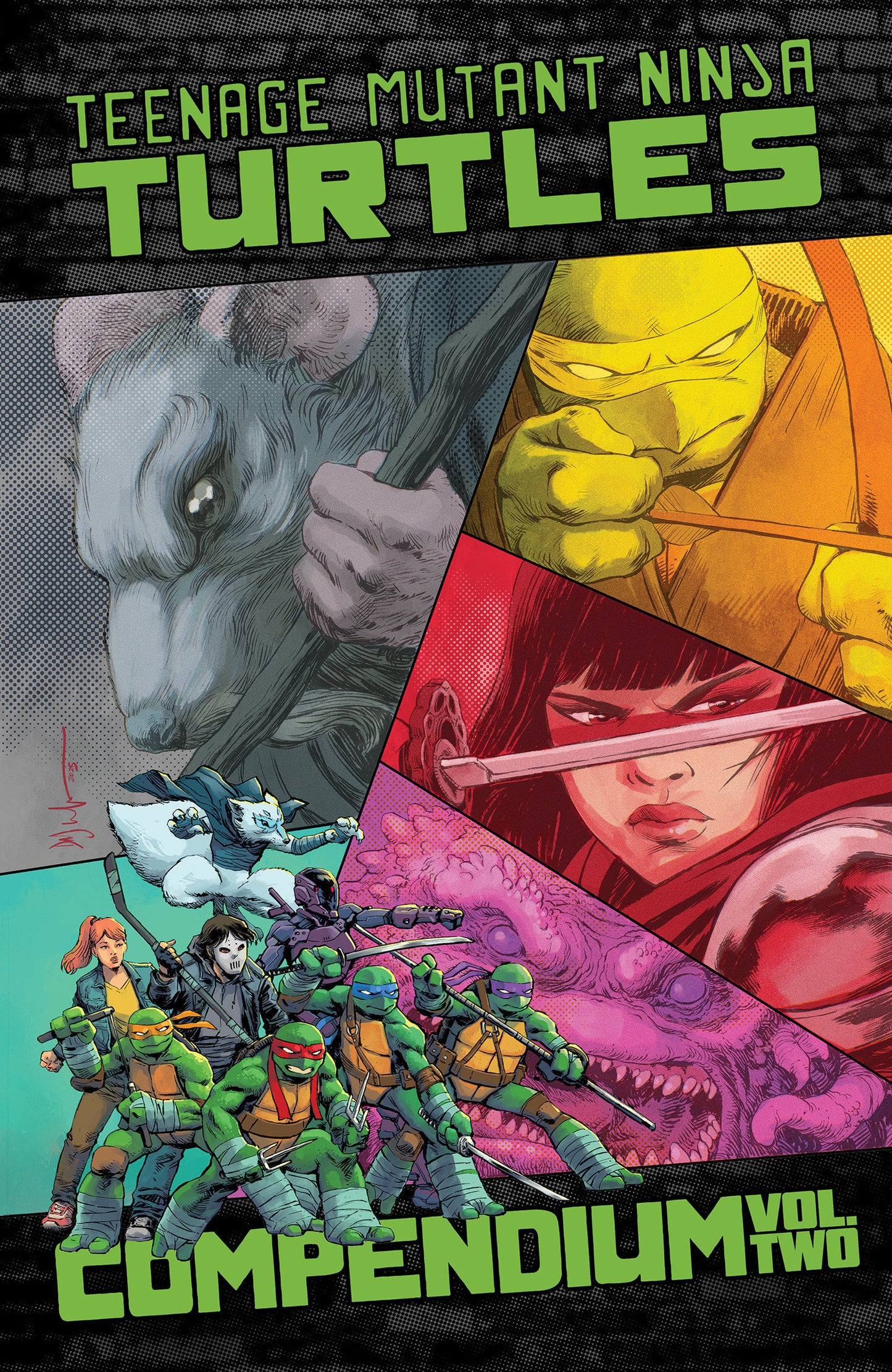 Teenage Mutant Ninja Turtles: Ongoing Compendium, Vol. 2 (Order By 06/08/26) (Estimated In Store By 07/14/26) (THIS ITEM IS A PRE-ORDER AND YOU WILL NOT RECEIVE IT UNTIL AFTER THE IN STORE DATE)