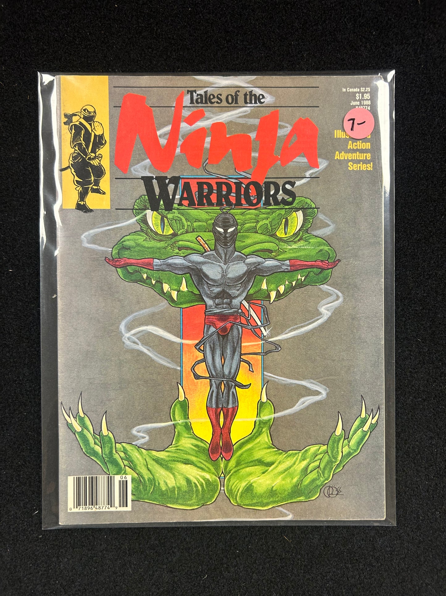 Tales of the Ninja Warriors – Graphic Novel