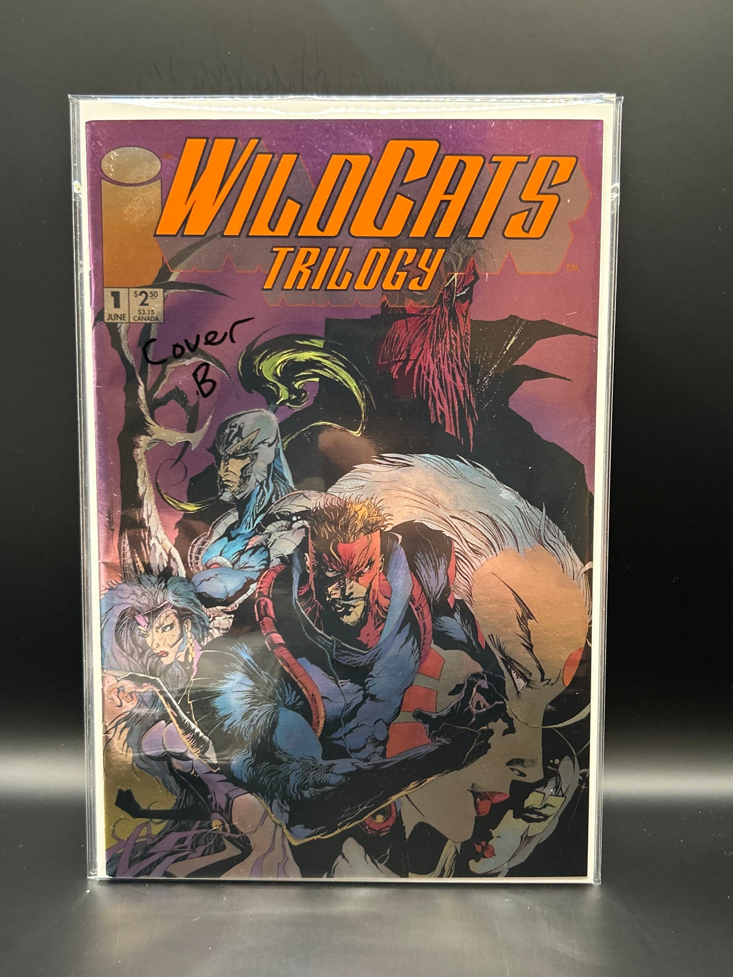 #1 B Wildcats Trilogy (1993)