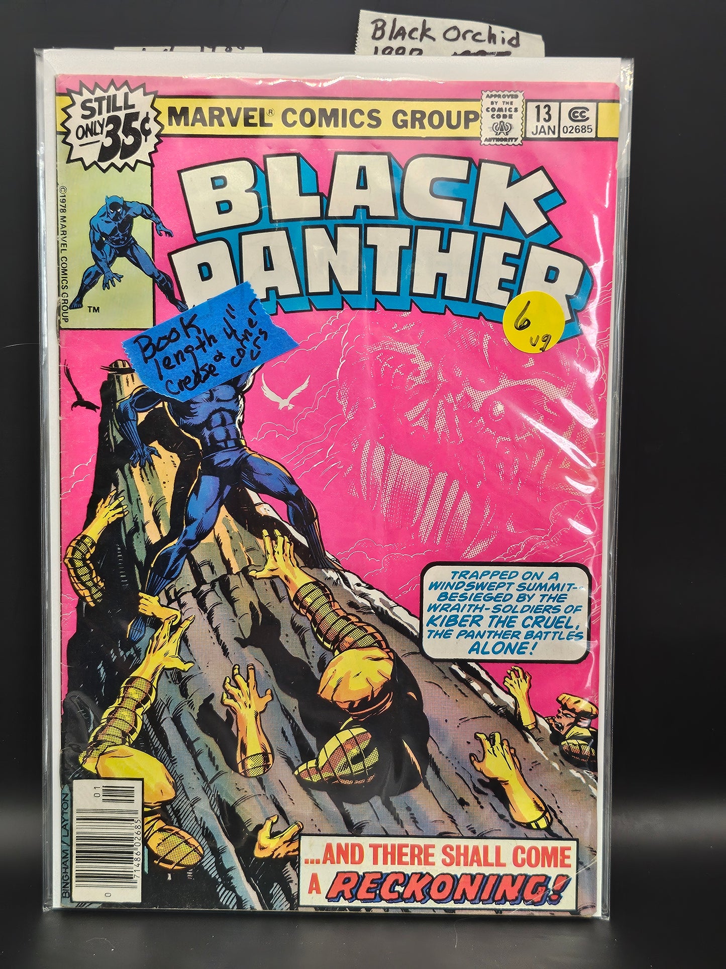 #13 - Black Panther (1977 Marvel 1st Series)