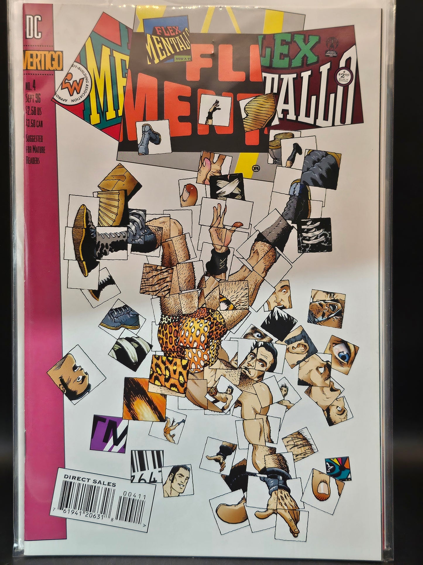 #1-4 Flex Mentallo (1996)