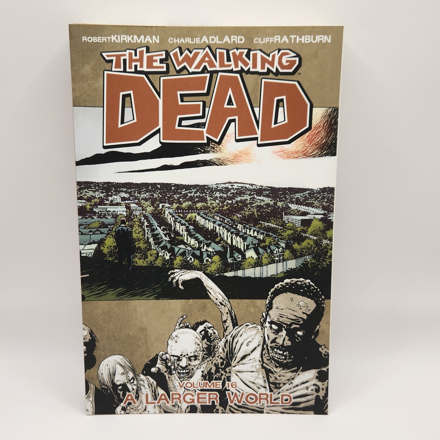 #16 Walking Dead TPB (2004-2019 Image)