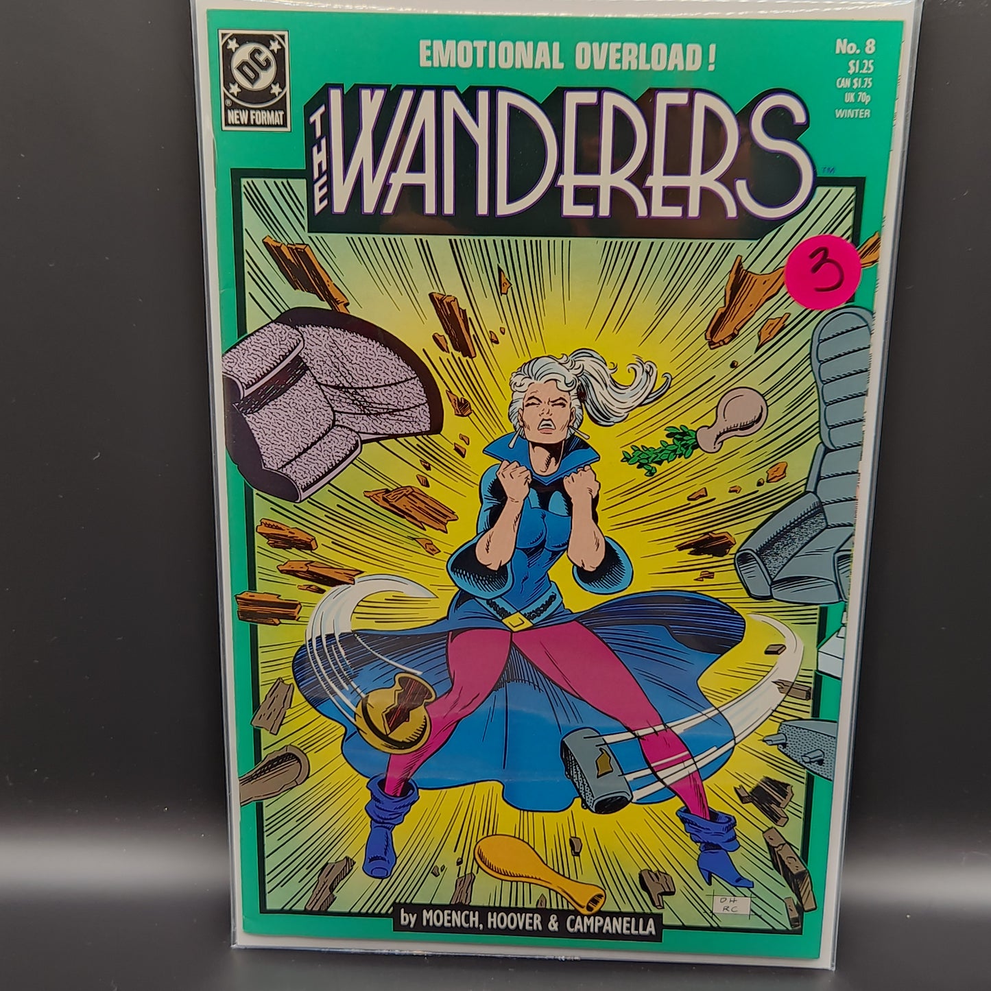 #8 Wanderers (1988)