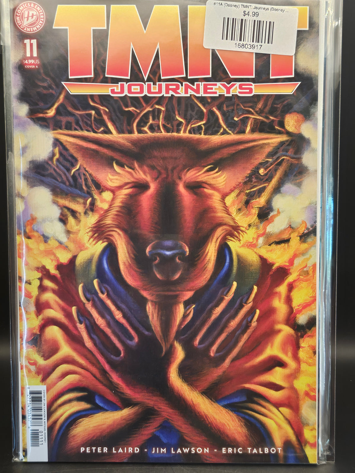#11A (Dooney) TMNT: Journeys (Dooney & Lawson)
