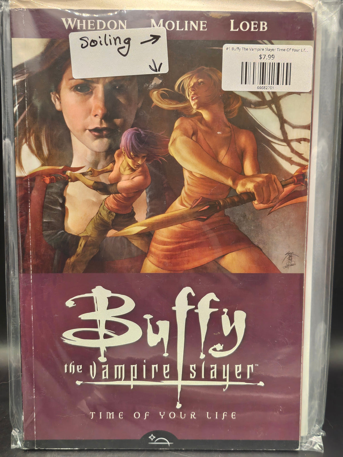 #1 Buffy The Vampire Slayer Time Of Your Life TPB