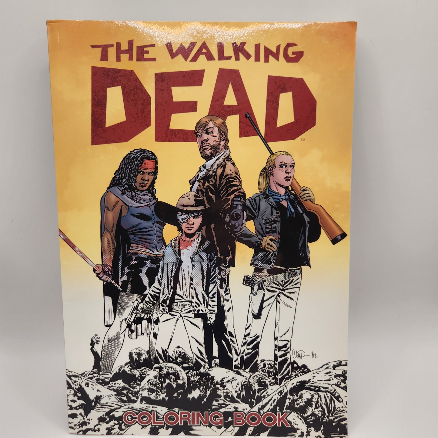 The Walking Dead Coloring Book by Robert Kirkman 2001 Image Comics