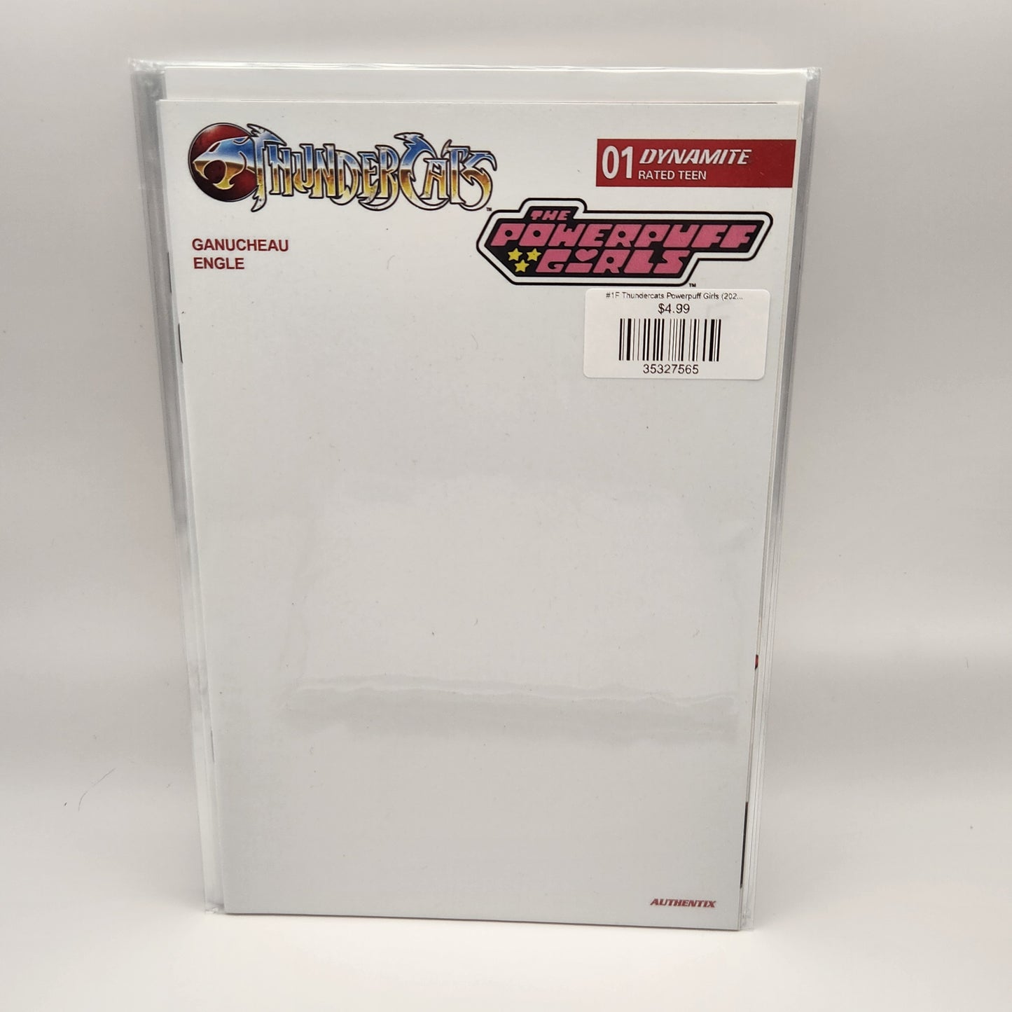 #1F Thundercats Powerpuff Girls (2025 Dynamite) (Blank Cover)