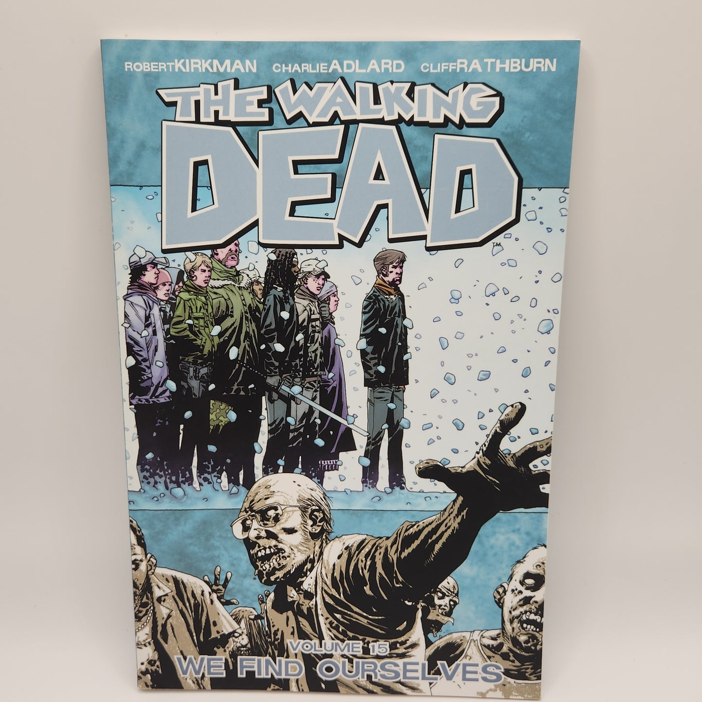 #15 Walking Dead TPB (2004-2019 Image)
