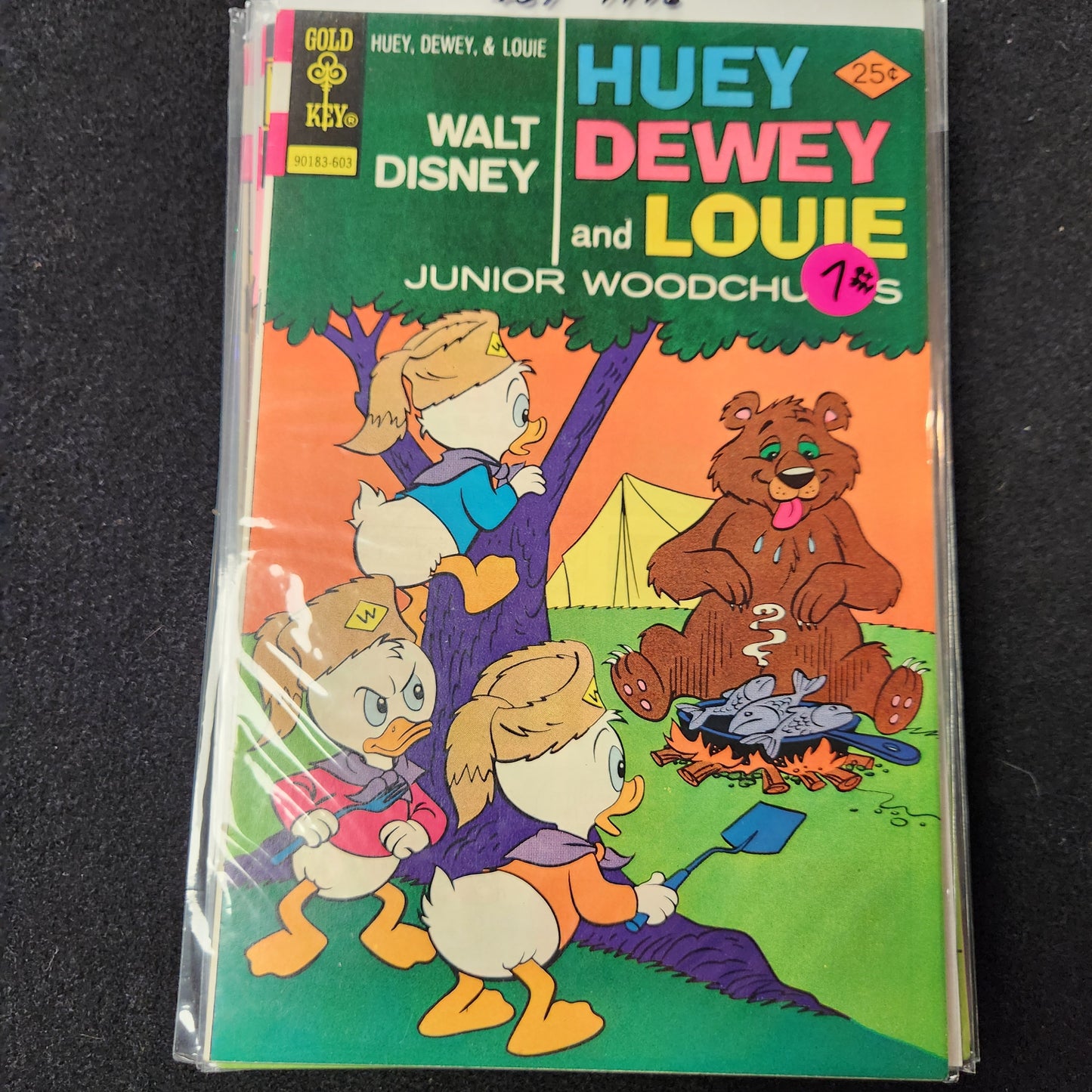109.104 – Huey Dewey and Louie Junior Woodchucks - #37 -1966-84
