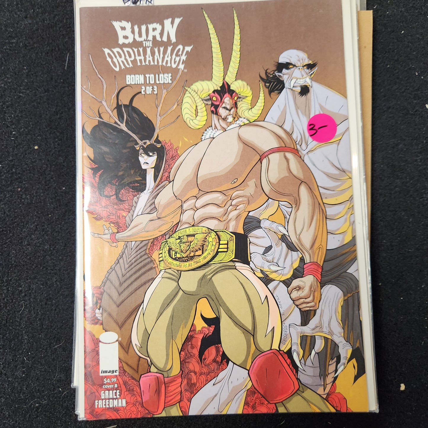 Burn the Orphanage: Born to Lose – Image Comics – (2013–2014) – Volume 1 – Limited Series – #2 of 3 Cover B