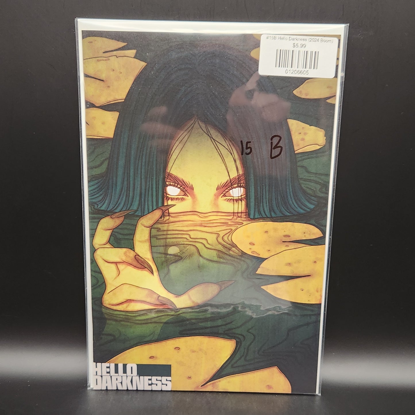#15B Hello Darkness (2024 Boom)