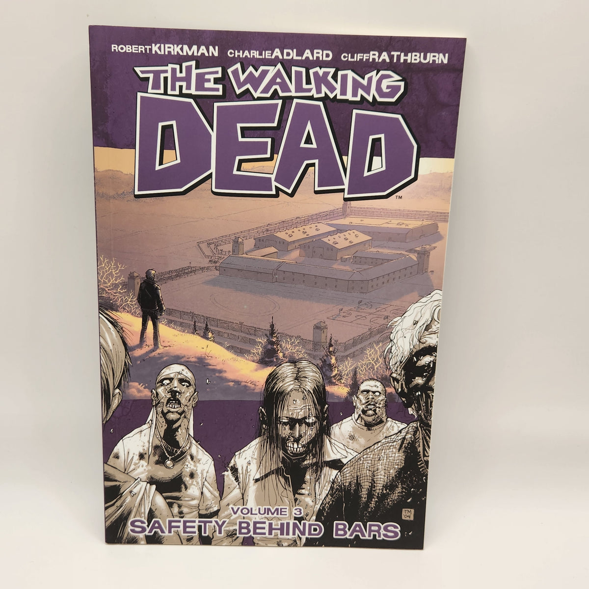 #3 Walking Dead TPB (2004-2019 Image)