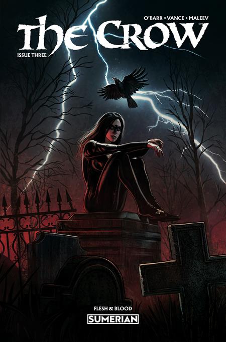 CROW FLESH AND BLOOD #3 CVR A EDUARDO SCHAAL (MR) (Pre-Order by 11/09/26 | Est. In-Store: 12/09/26 | Ships after release)