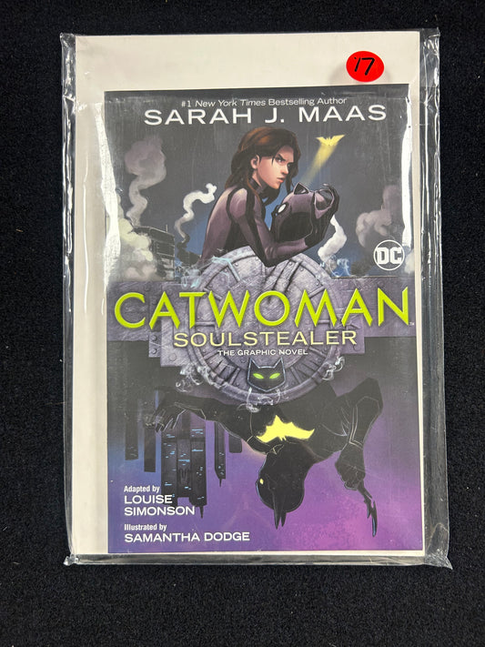 Catwoman Soulstealer – Graphic Novel