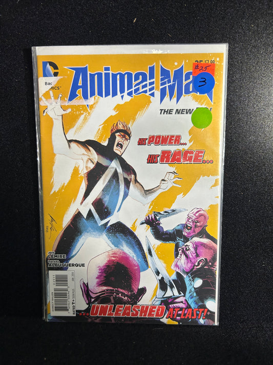 Animal Man #25 (DC New 52 2014)
