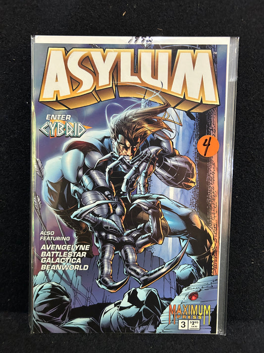 Asylum #3 - Enter Cybrid (Maximum Press 1995)