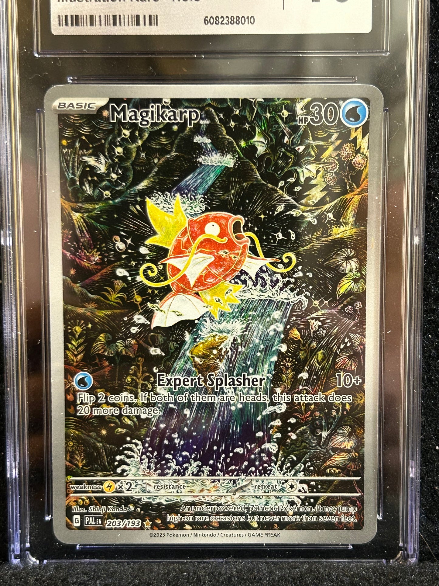 Magikarp – Pokémon (2023) – Paldea Evolved – 203/193 – Illustration Rare – Holo – CGC 10 Gem Mint