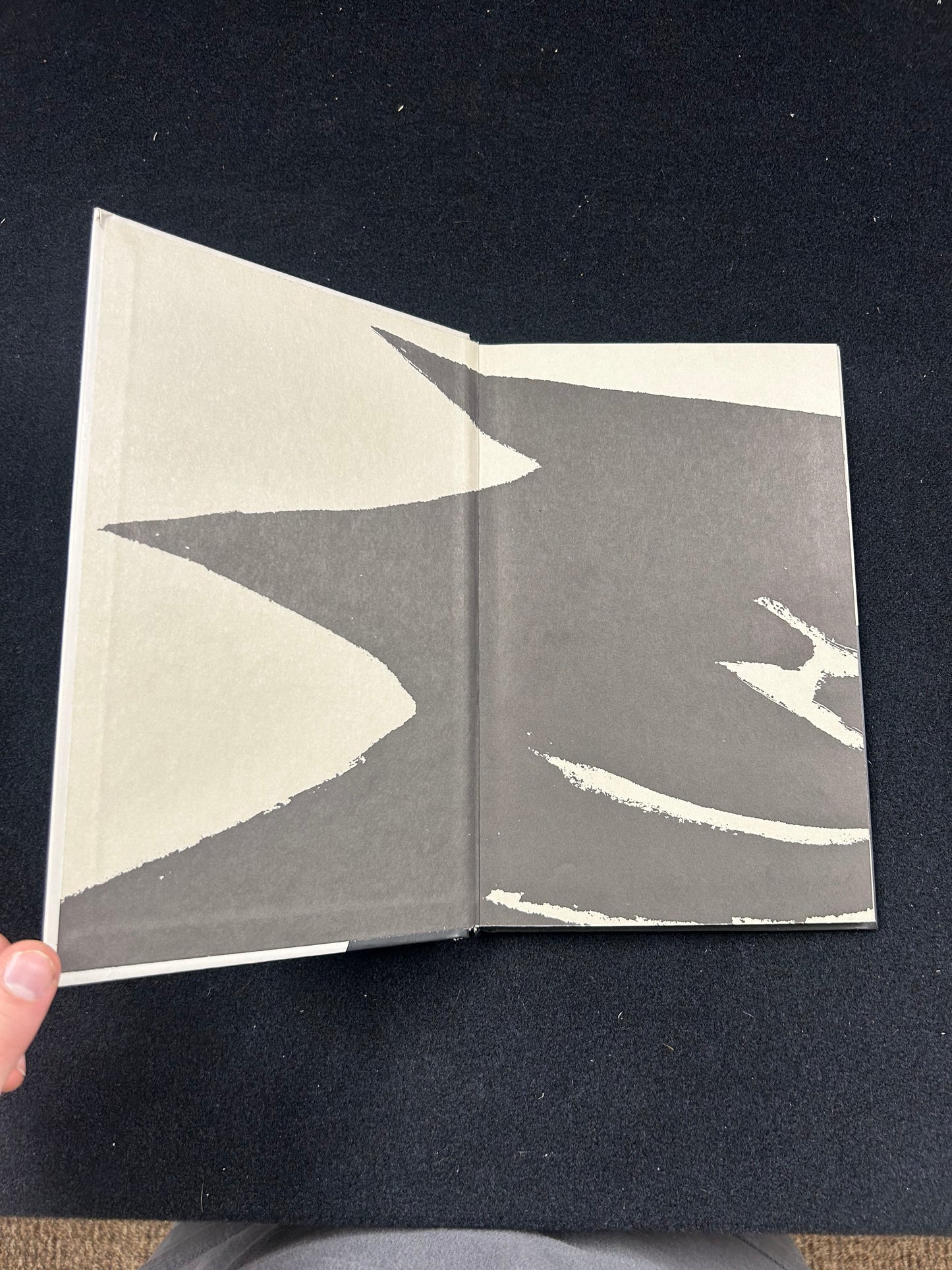 Batman Year 1 Frank Miller (No Cover Sleeve) – Graphic Novel