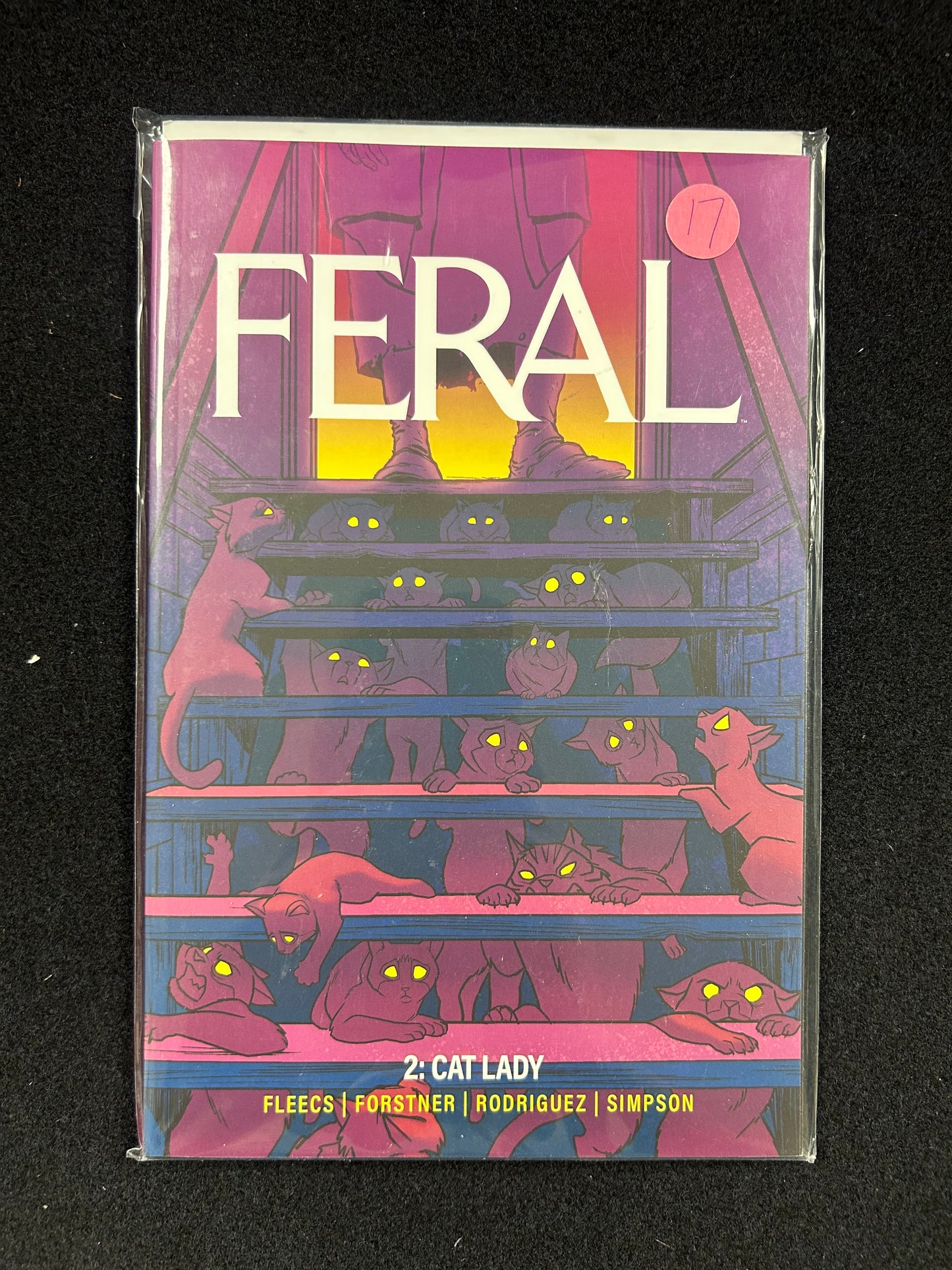 Feral #2: Cat Lady – Graphic Novel