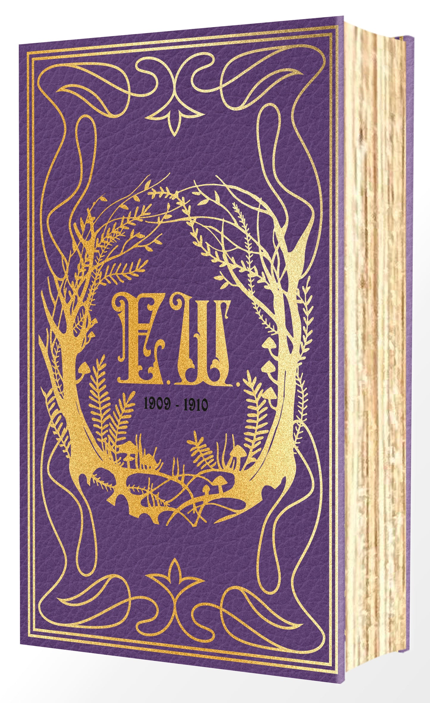 Emily Wilde's Encyclopaedia of Faeries (Deluxe Edition) (Pre-Order by 08/31/26 | Est. In-Store: 09/29/26 | Ships after release)