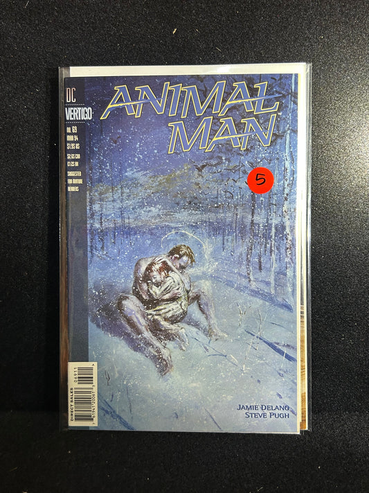 Animal Man #69 (DC Vertigo 1994)