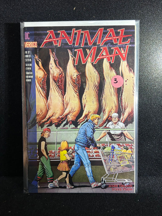 Animal Man #57 (DC Vertigo 1993)