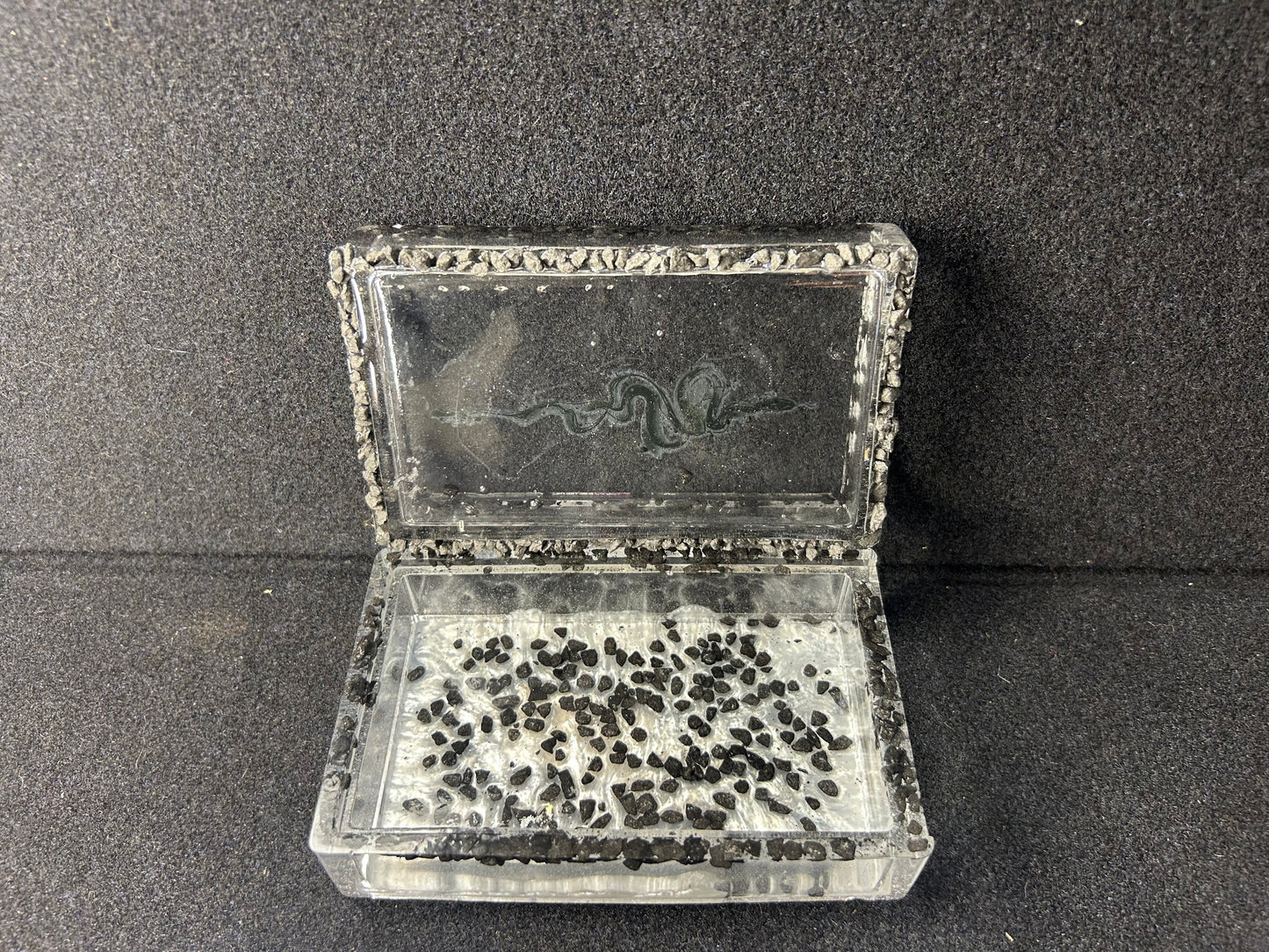 Black White Snake Jewelry Box