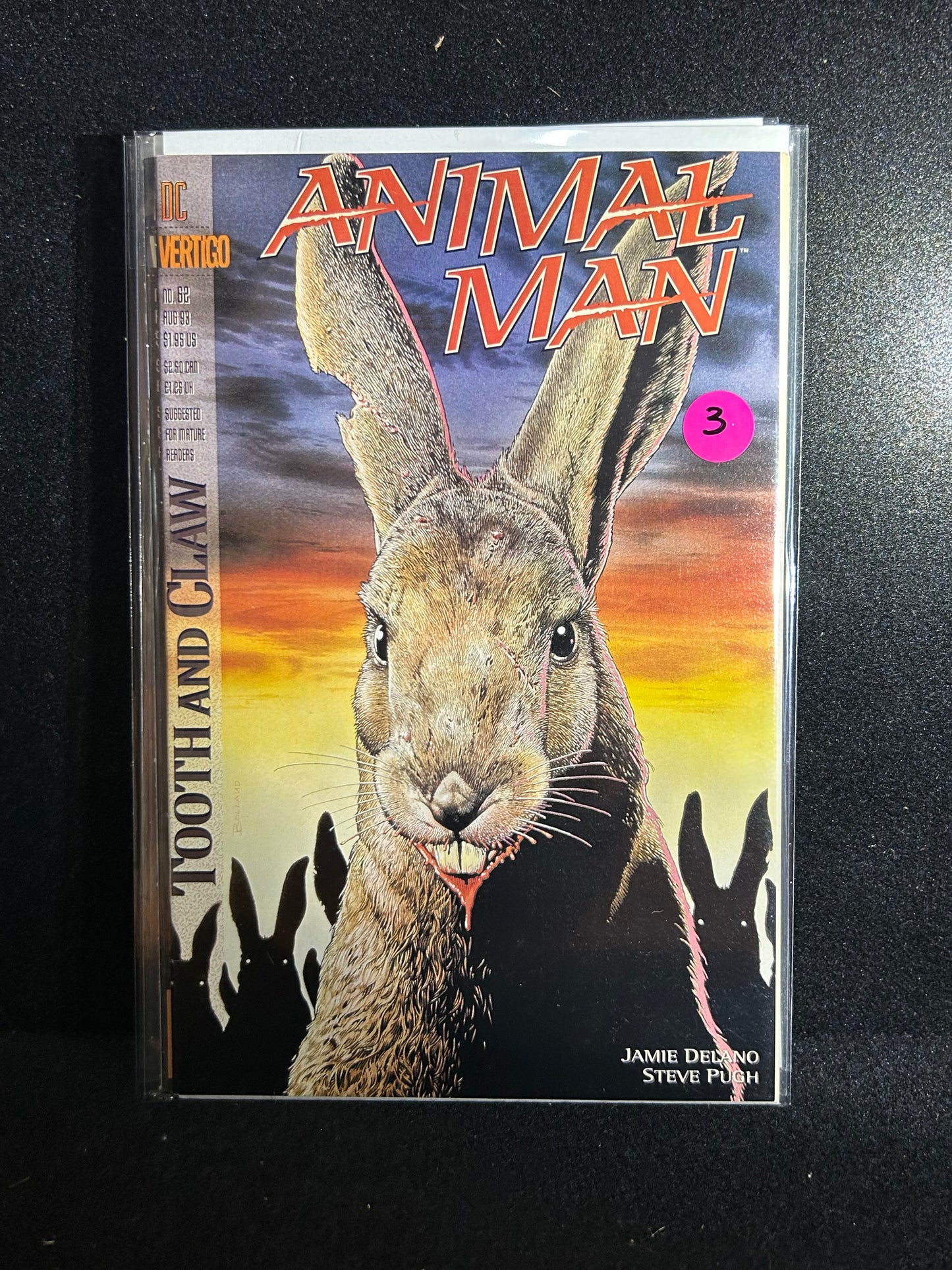 Animal Man #62 (DC Vertigo 1993)