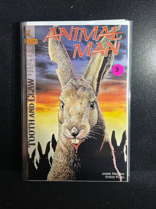 Animal Man #62 (DC Vertigo 1993)