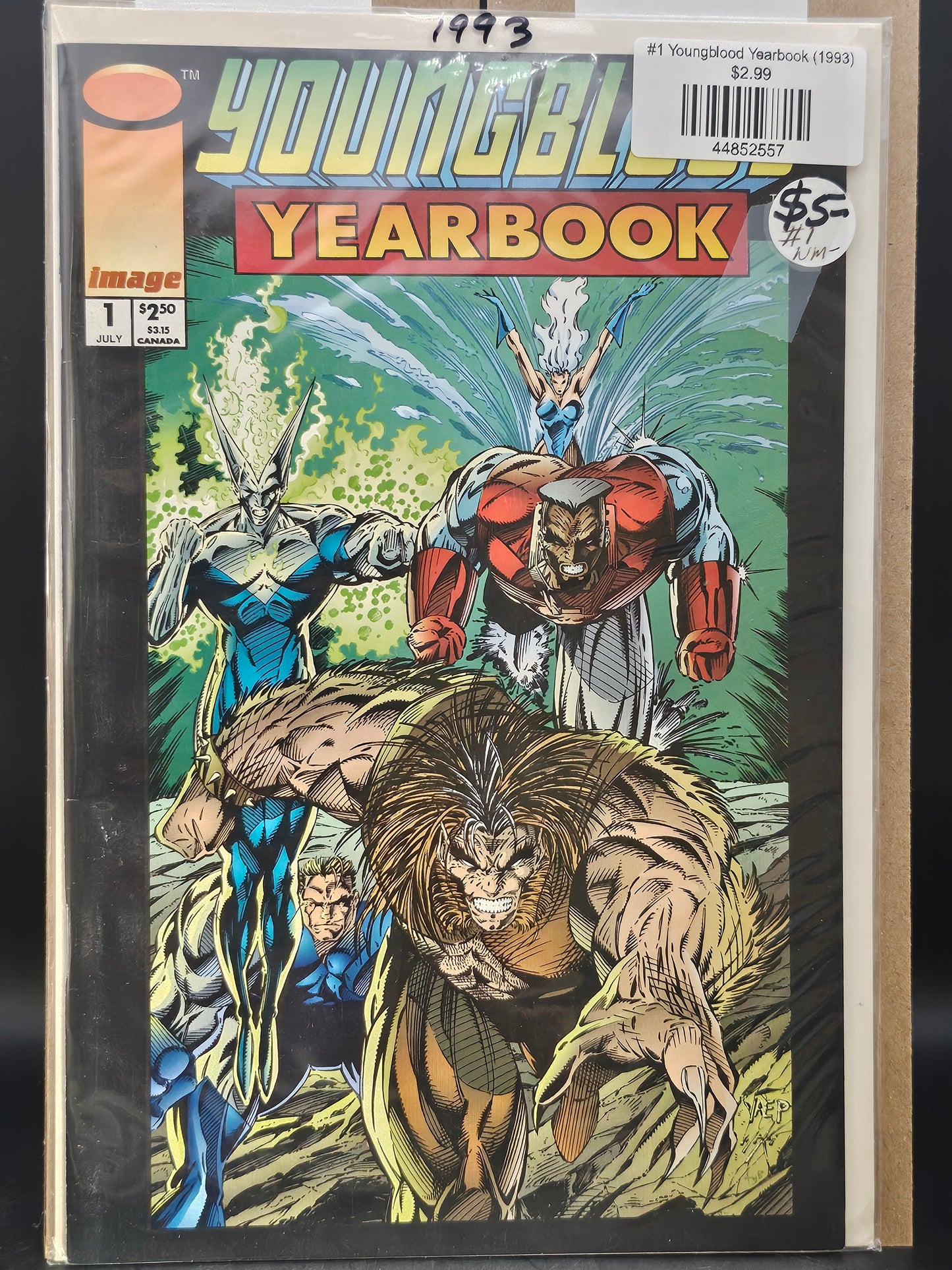 #1 Youngblood Yearbook (1993)