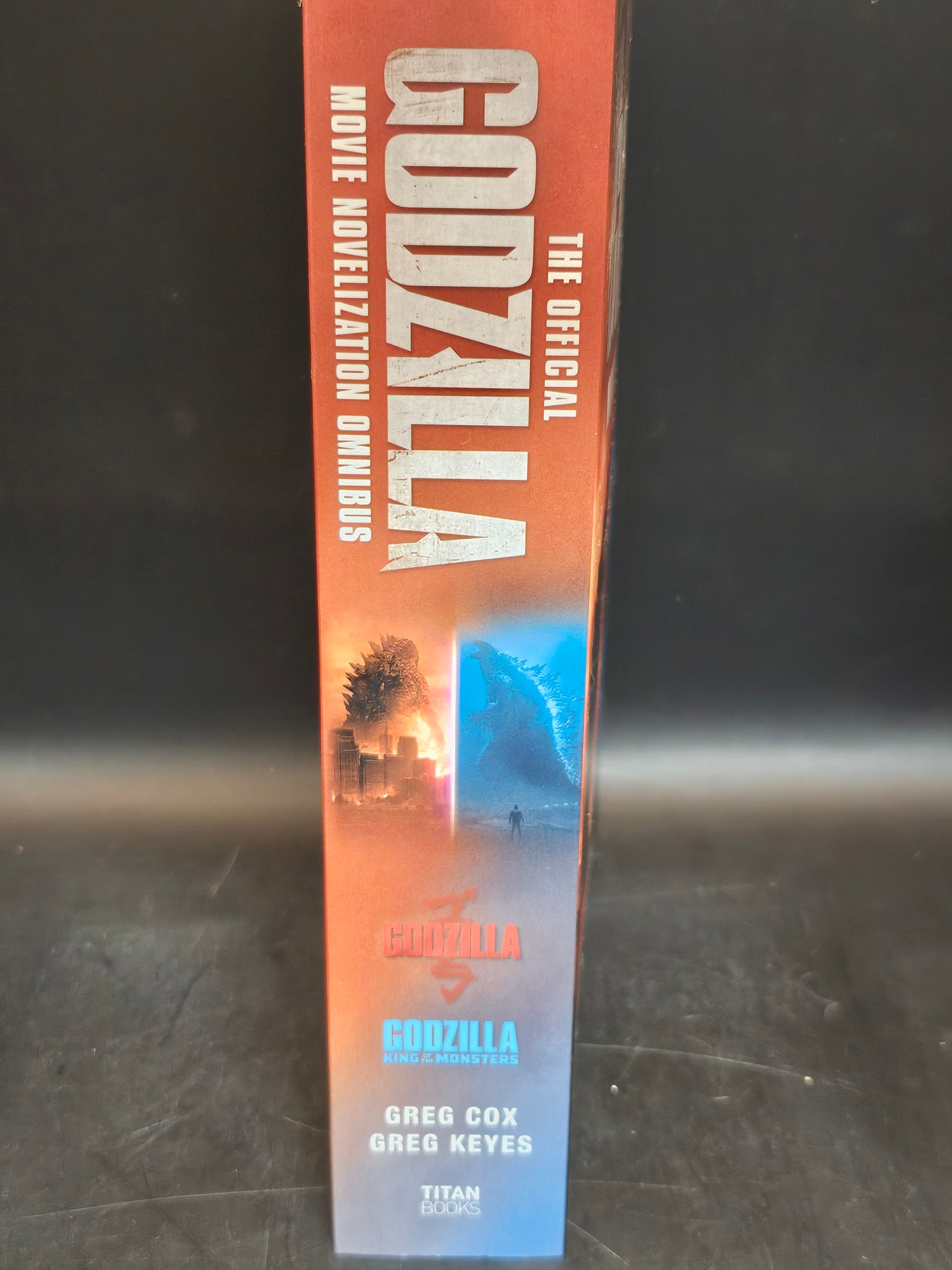 Book Godzilla & Godzilla King of the Monsters PB