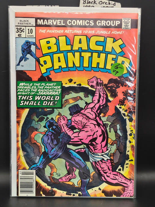 #10 - Black Panther (1977 Marvel 1st Series)