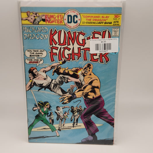 #7 Richard Dragon Kung Fu Fighter (1975)