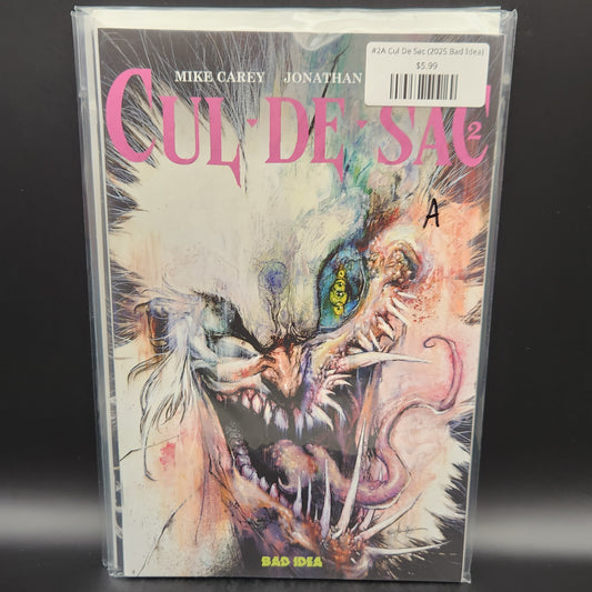 #2A Cul De Sac (2025 Bad Idea)