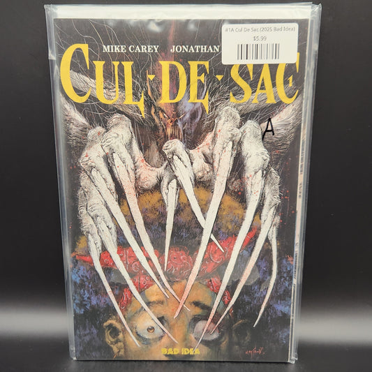 #1A Cul De Sac (2025 Bad Idea)