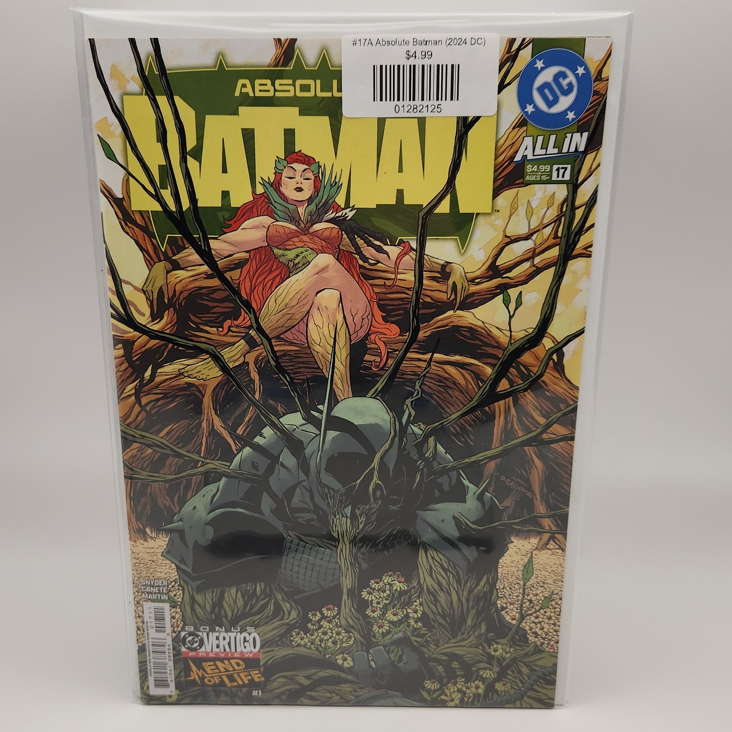 #17A Absolute Batman (2024 DC)