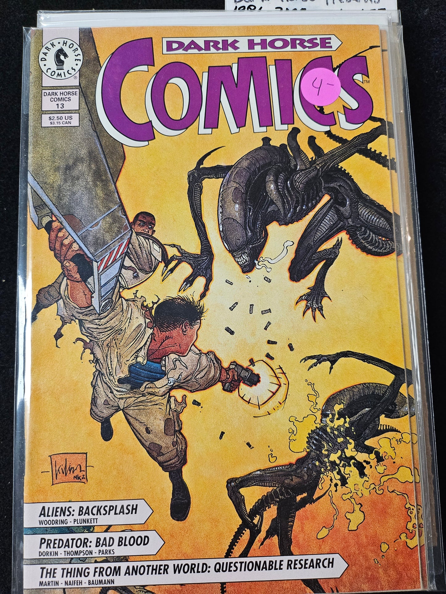 102.106 - Dark Horse Comics - #13
