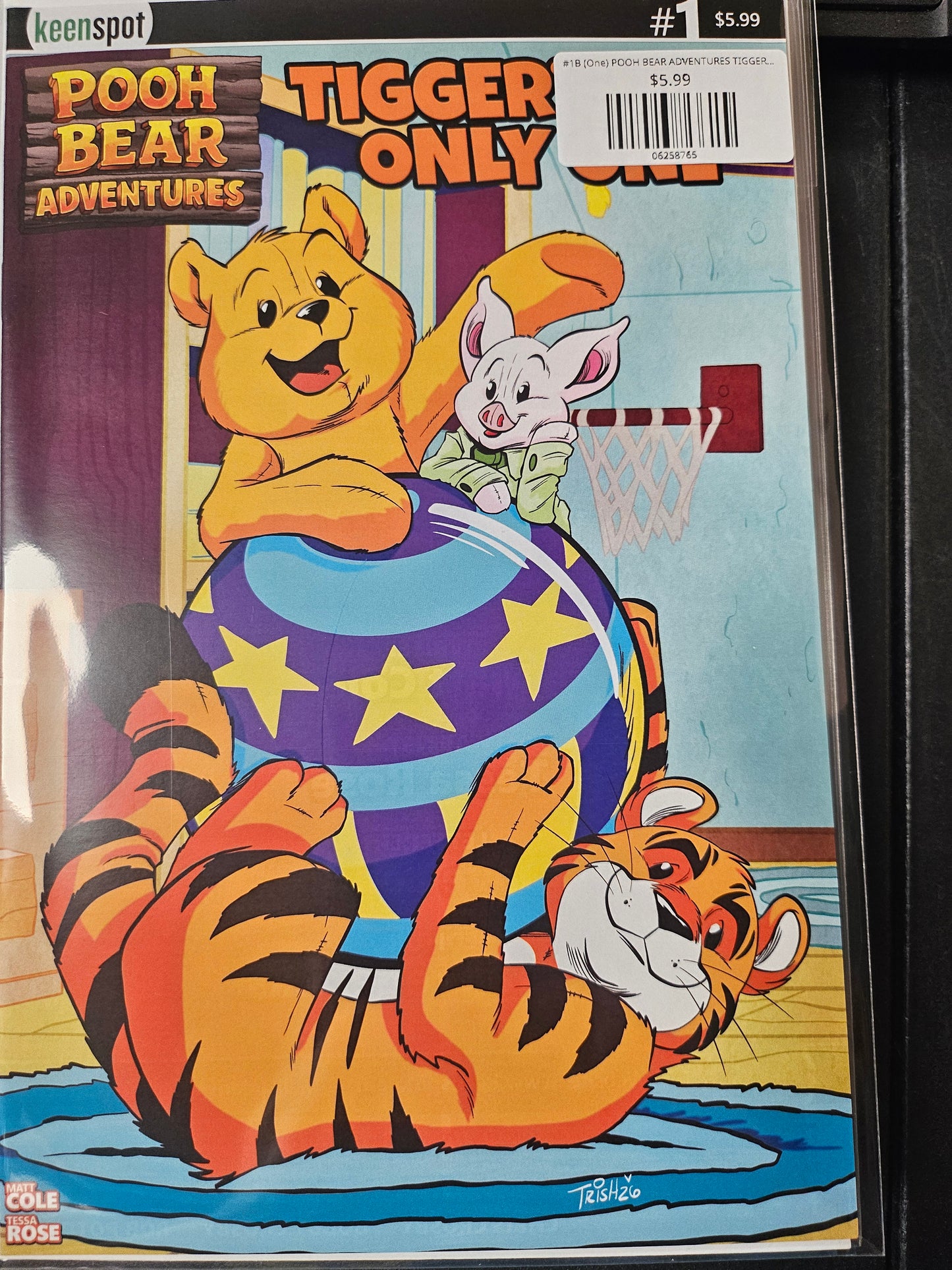 #1B (One) POOH BEAR ADVENTURES TIGGERS THE ONLY ONE (ONE SHOT TRISH FORSTNER VAR)