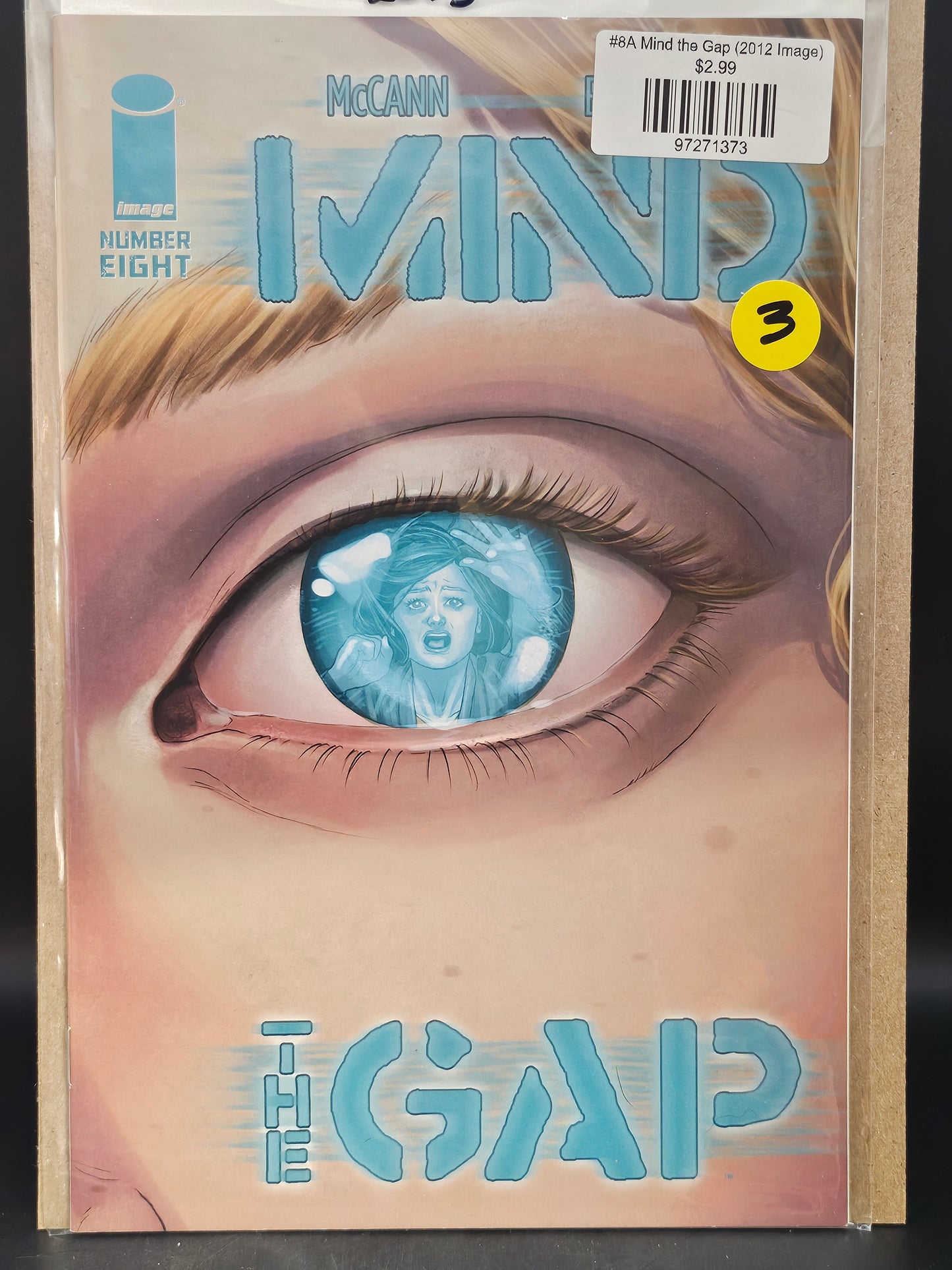 #8A Mind the Gap (2012 Image)