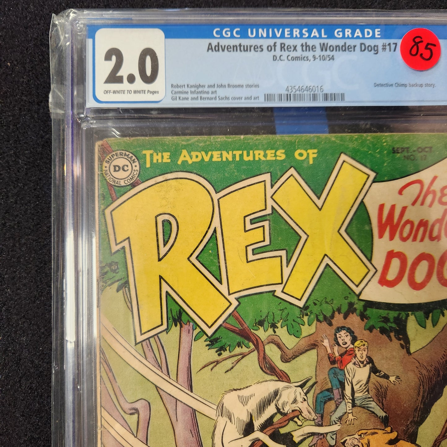 Adventures of Rex the Wonder Dog Slab #17 (1954)