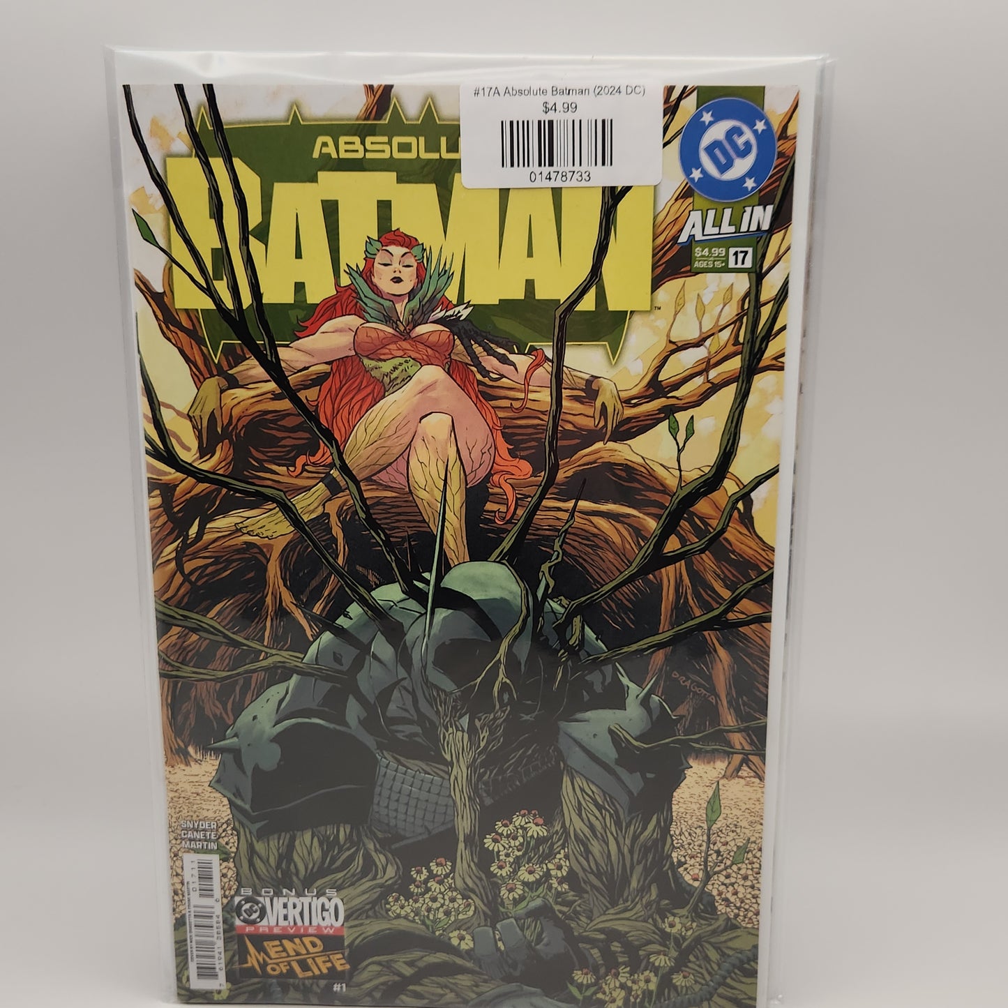 #17A Absolute Batman (2024 DC)