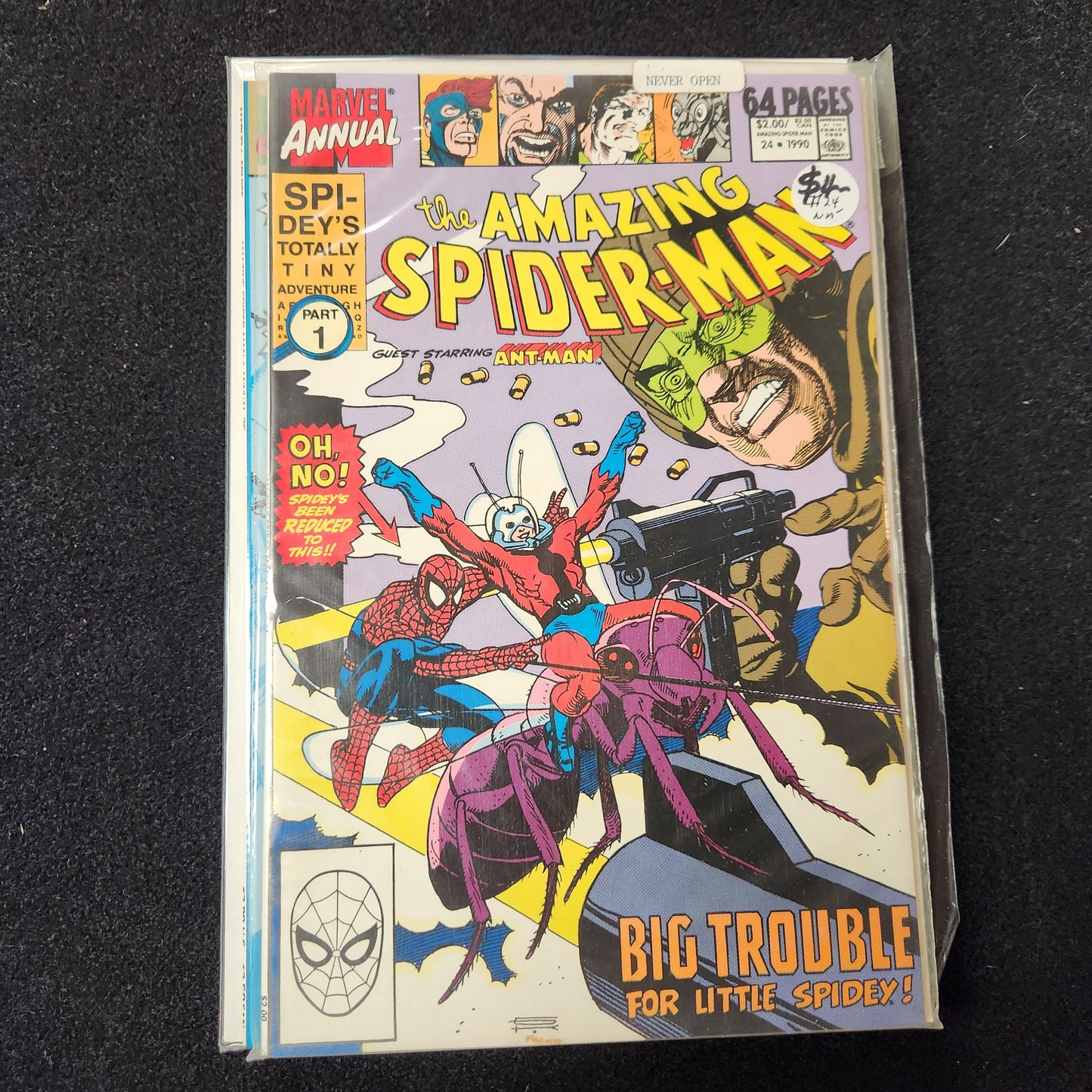 Amazing Spiderman 1963–1998 (1–441) Annual #24 (1990)