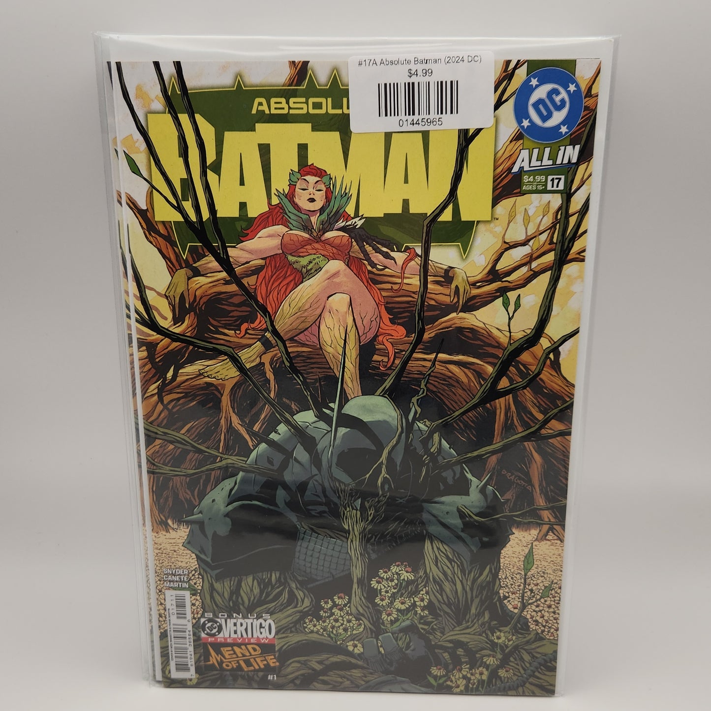 #17A Absolute Batman (2024 DC)