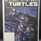 #2022 Teenage Mutant Ninja Turtles (2017 IDW) FCBD