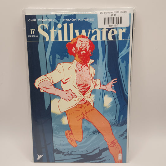 #17 Stillwater (2020 Image)