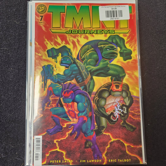 #7A Teenage Mutant Ninja Turtles Journeys (2025 IDW)
